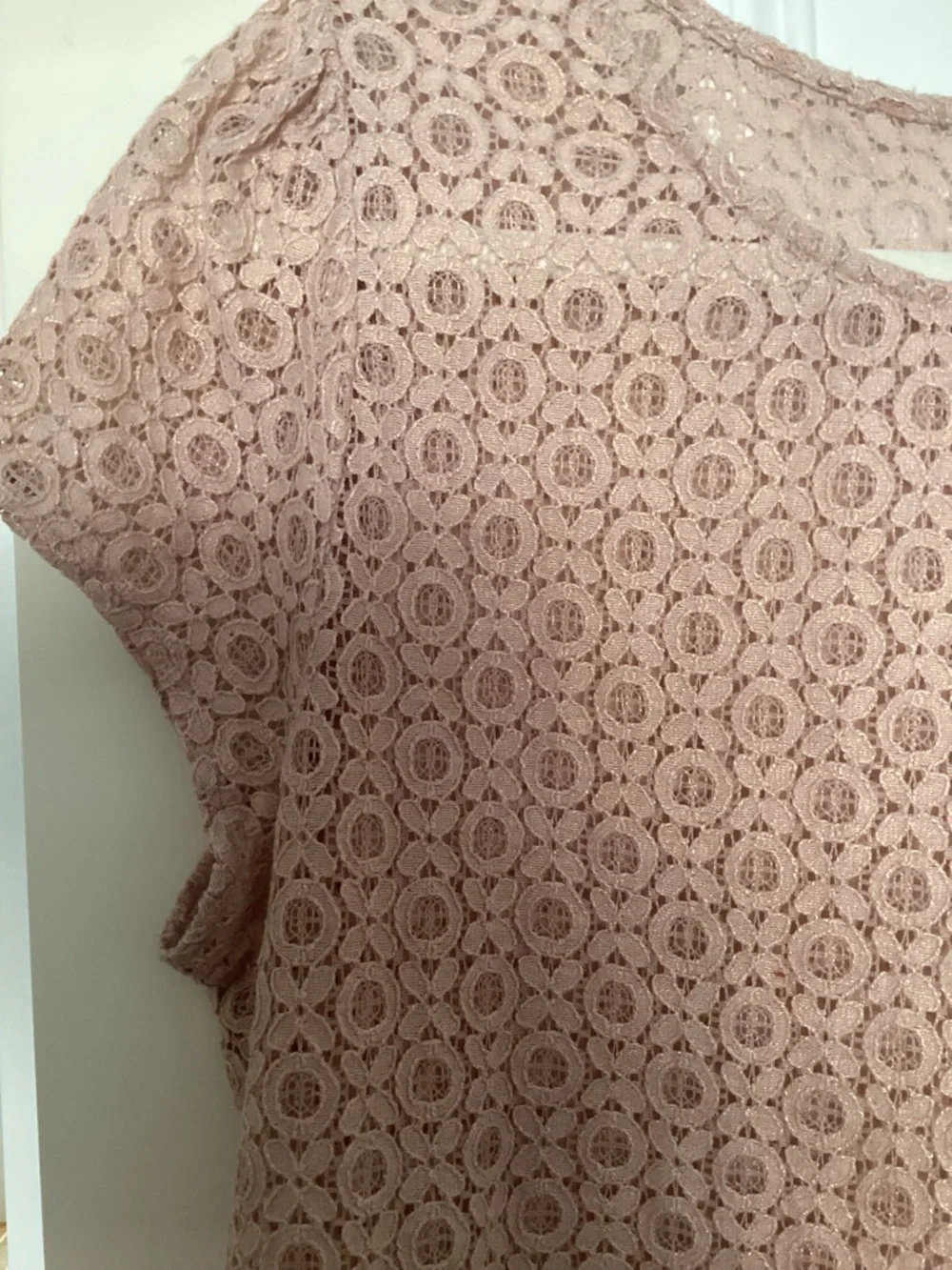 LOFT Dusty Rose Lace Cap-Sleeve Blouse - Picture 5 of 7
